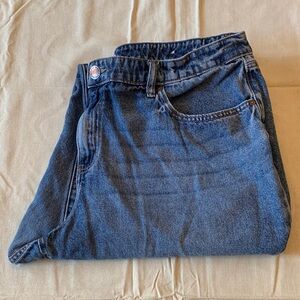 Lane Bryant Boyfriend Jeans